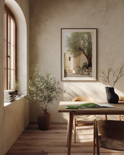 Modern olive grove