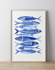 Sardina blue line